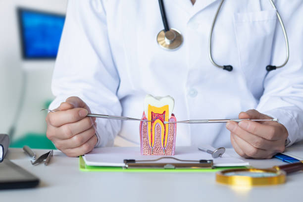 Best Mobile Emergency Dentist in Salem, IN